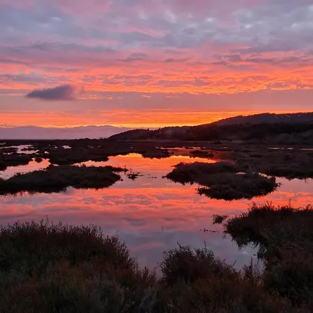 L'oasis De Port * Fitou