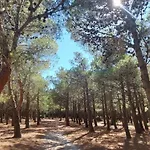 L'oasis De Port *